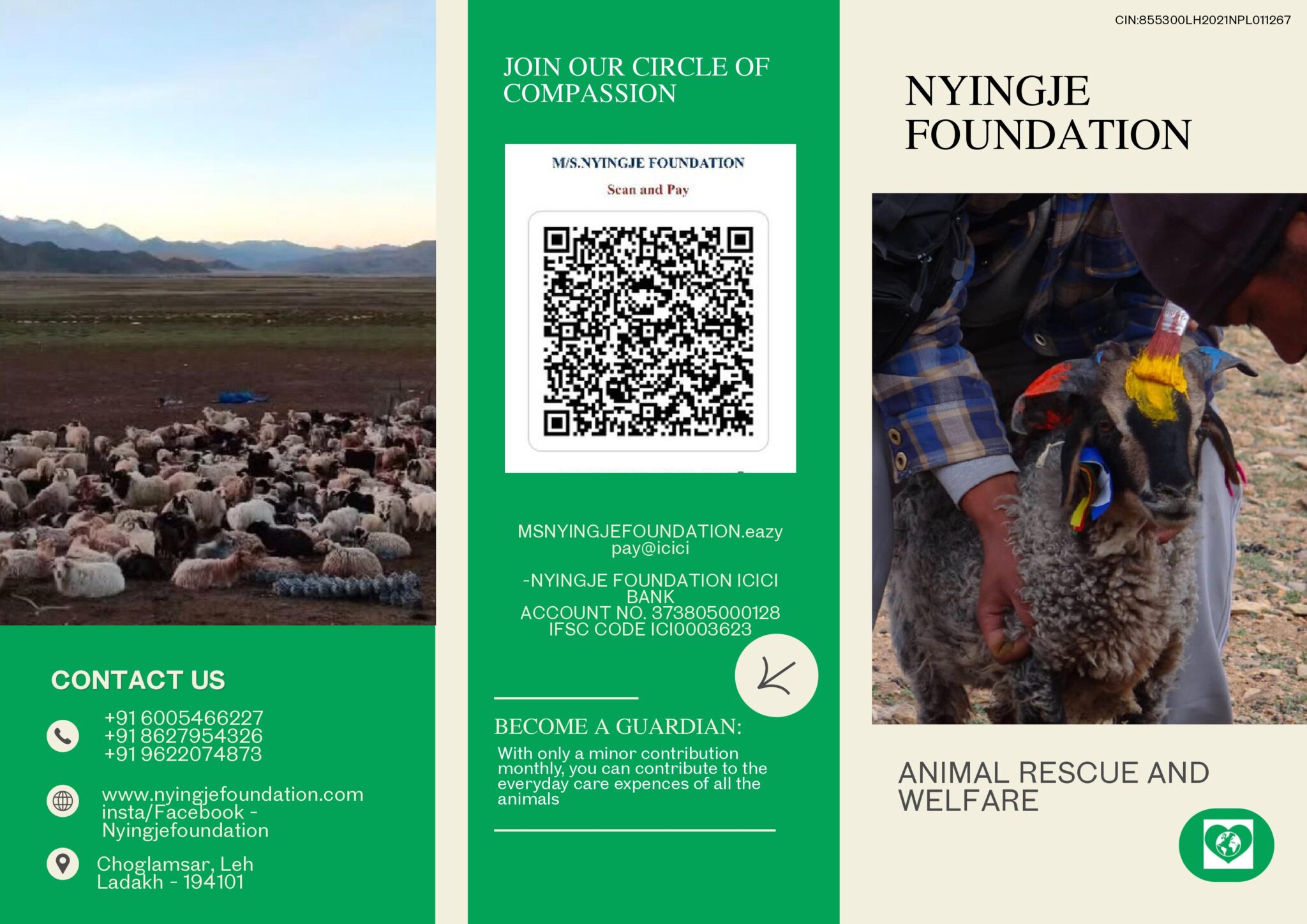 NYINGJE FOUNDATION BROCHURE_page-0001