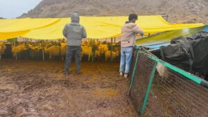 Even the rain can’t stop us💪🏽